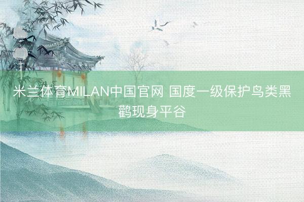 米兰体育MILAN中国官网 国度一级保护鸟类黑鹳现身平谷