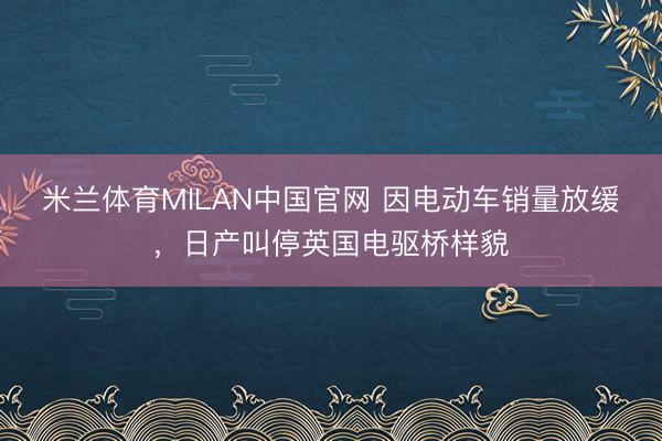 米兰体育MILAN中国官网 因电动车销量放缓，日产叫停英国电驱桥样貌