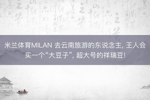 米兰体育MILAN 去云南旅游的东说念主, 王人会买一个“大豆子”, 超大号的祥瑞豆!