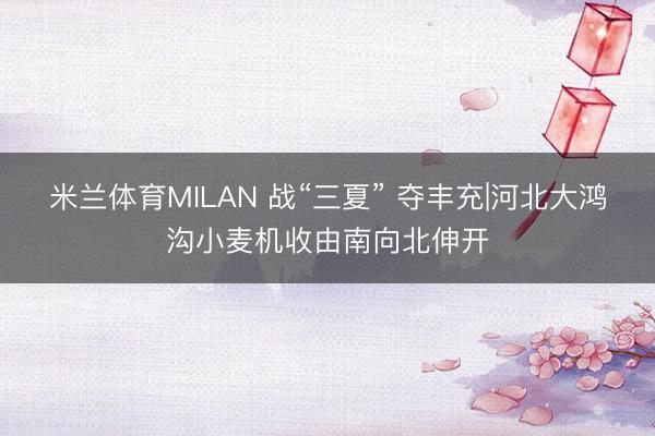 米兰体育MILAN 战“三夏” 夺丰充|河北大鸿沟小麦机收由南向北伸开