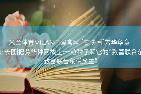 米兰体育MILAN中国官网 [甘快看]芳华华章 丝路逐光·长图|把芳华种回故土:一粒种子和它的“致富联合东说念主”
